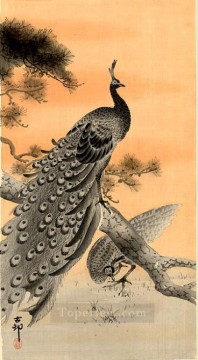 pavo real y gallina Ohara Koson japonés Pinturas al óleo